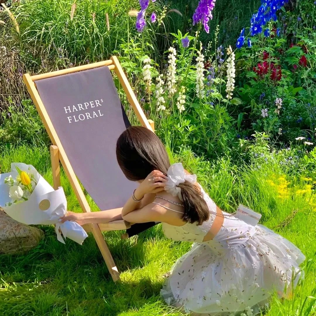 重生之小龙女归来